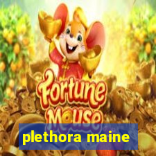 plethora maine